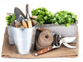 Contenitori e attrezzi 904 0 Contenitori e attrezzi giardinaggio_ok